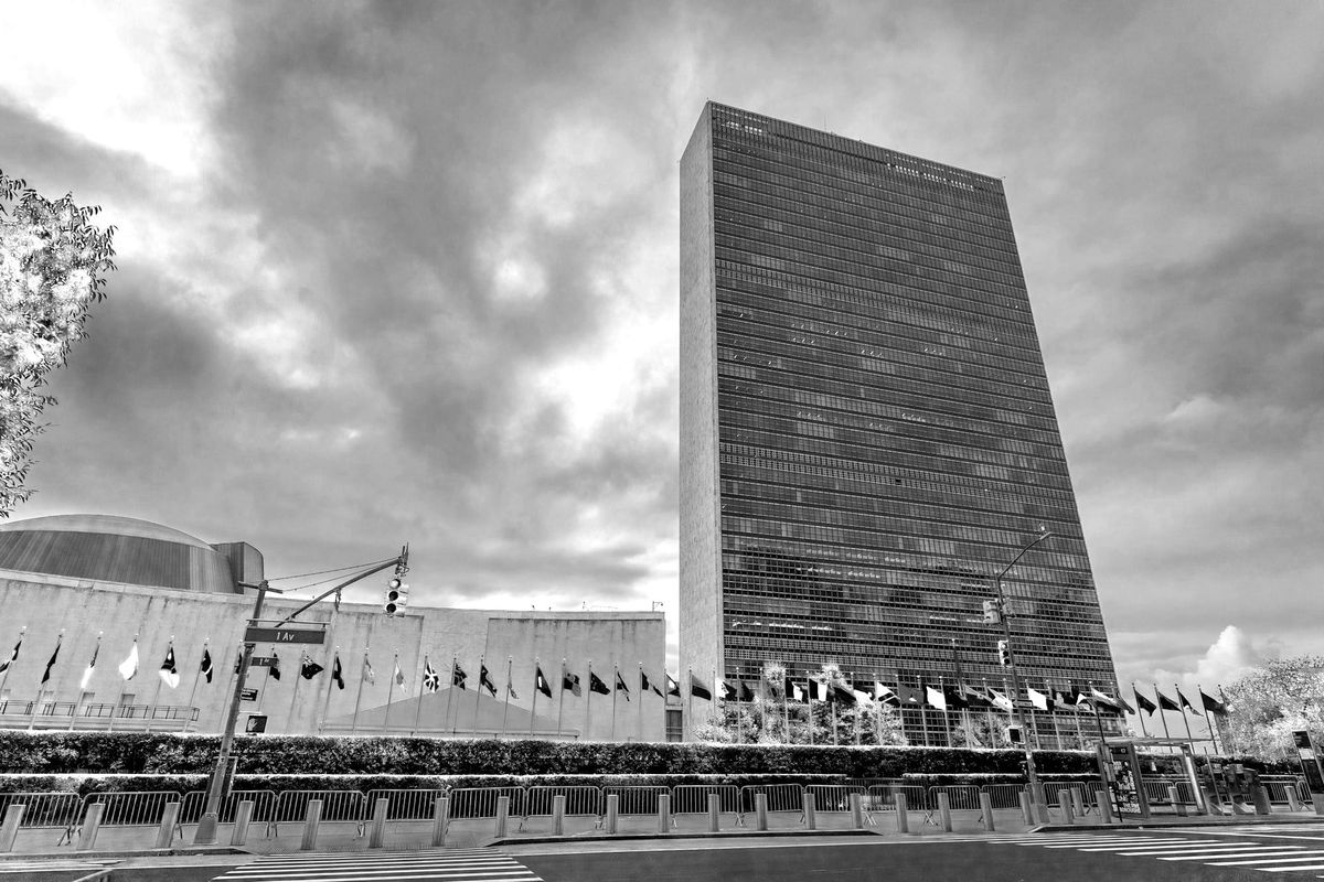 The Importance of Being Expert: The UN, Legitimacy, and the Battle for Knowledge