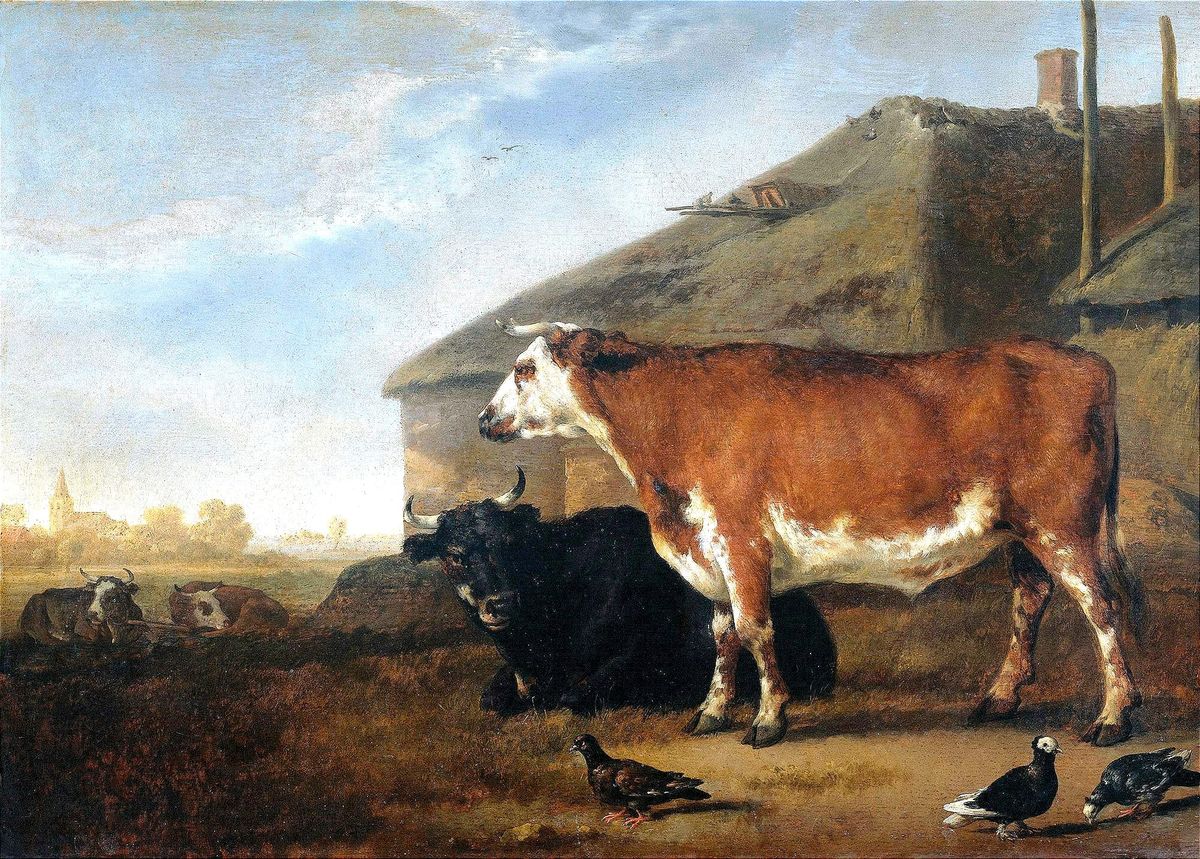 Has Polarization Become 'Infrastructure'? Seven Layers of Division