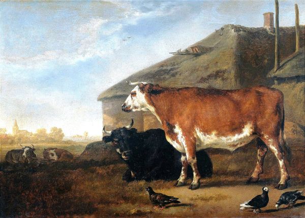 Has Polarization Become 'Infrastructure'? Seven Layers of Division