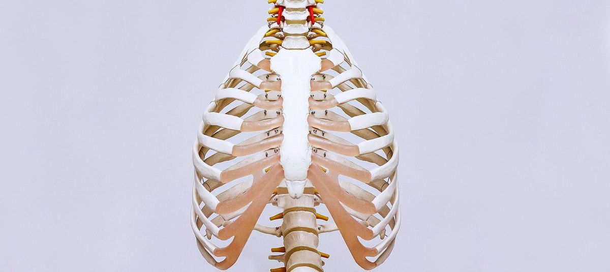 Thoracic Anesthesia