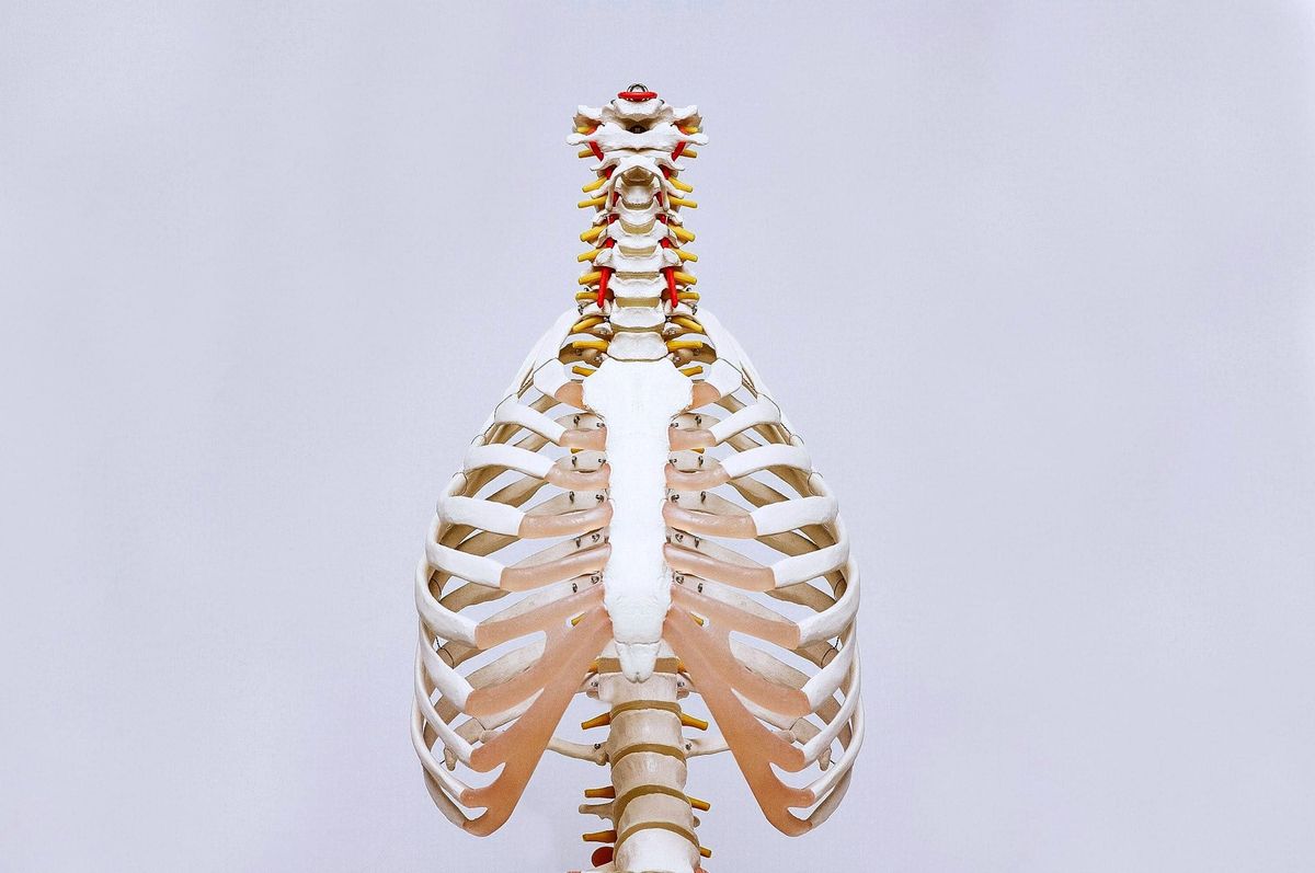 Pulmonary