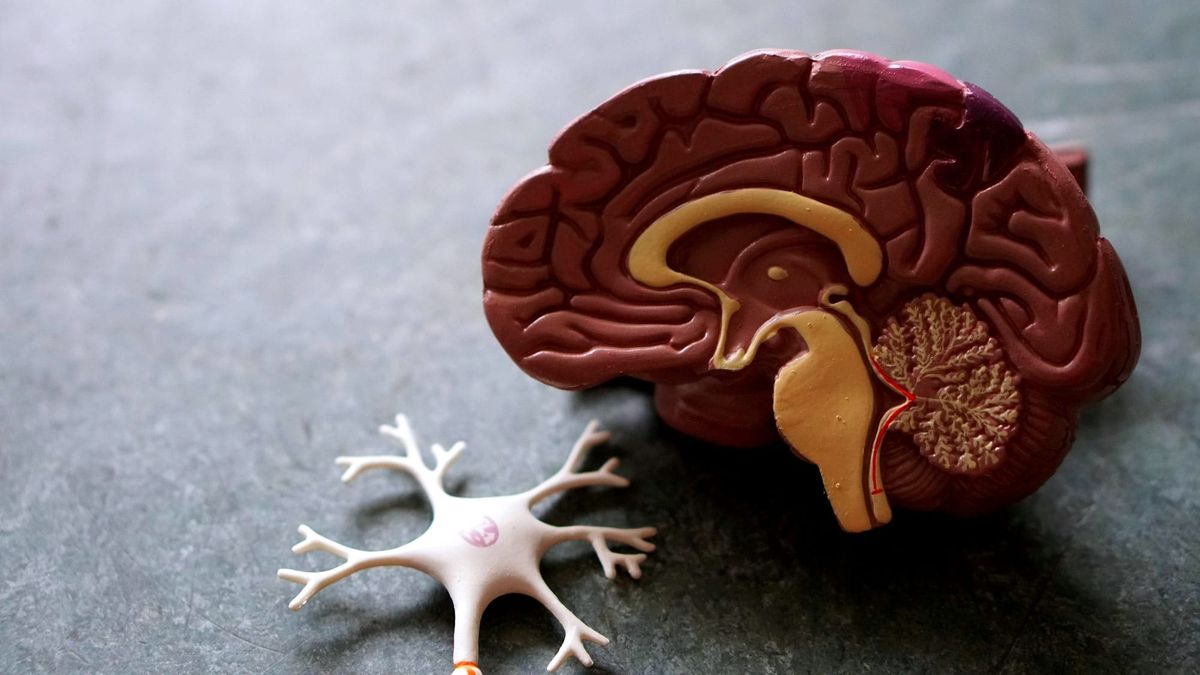 Neurological