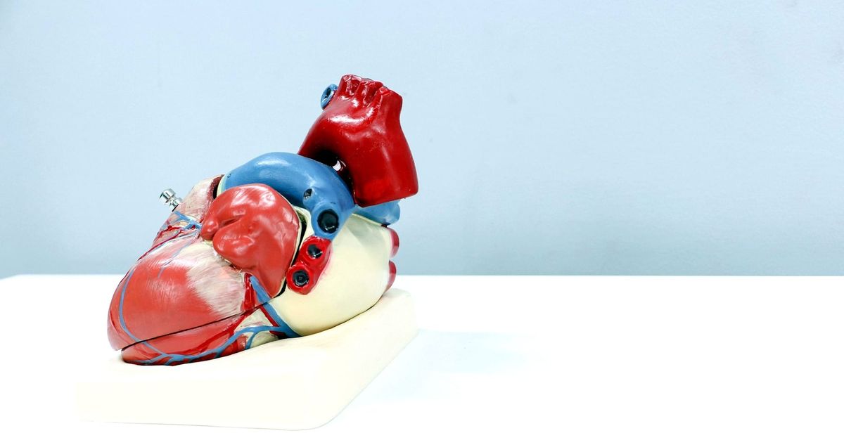 Cardiovascular & Hemodynamics