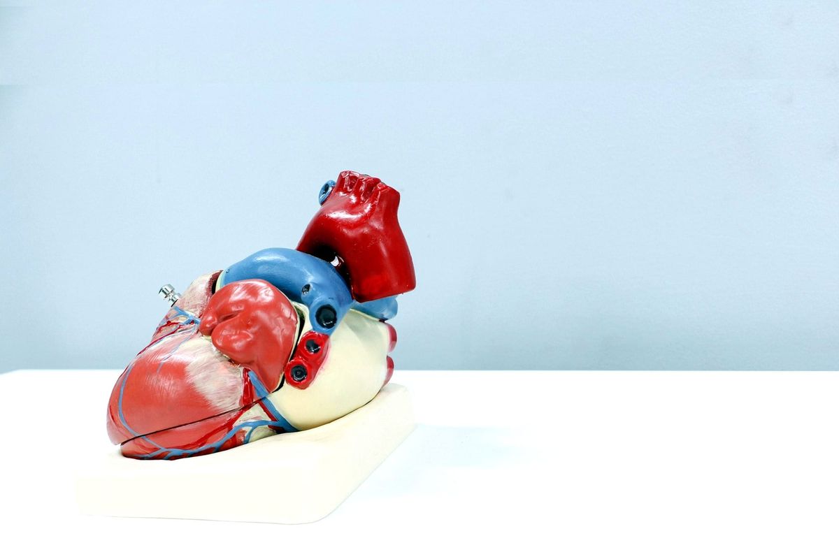 Cardiovascular & Hemodynamics