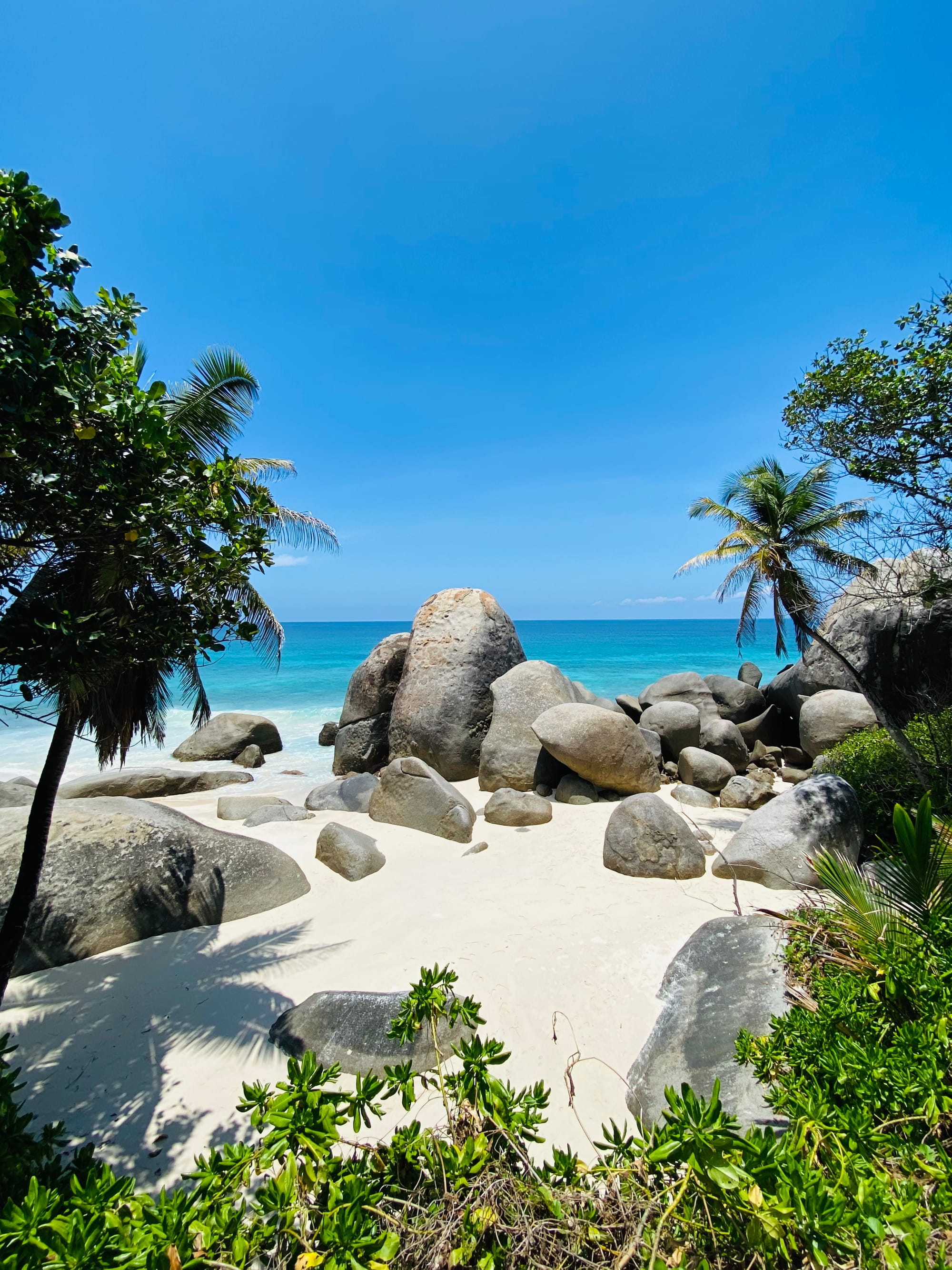 The Coco de Mer