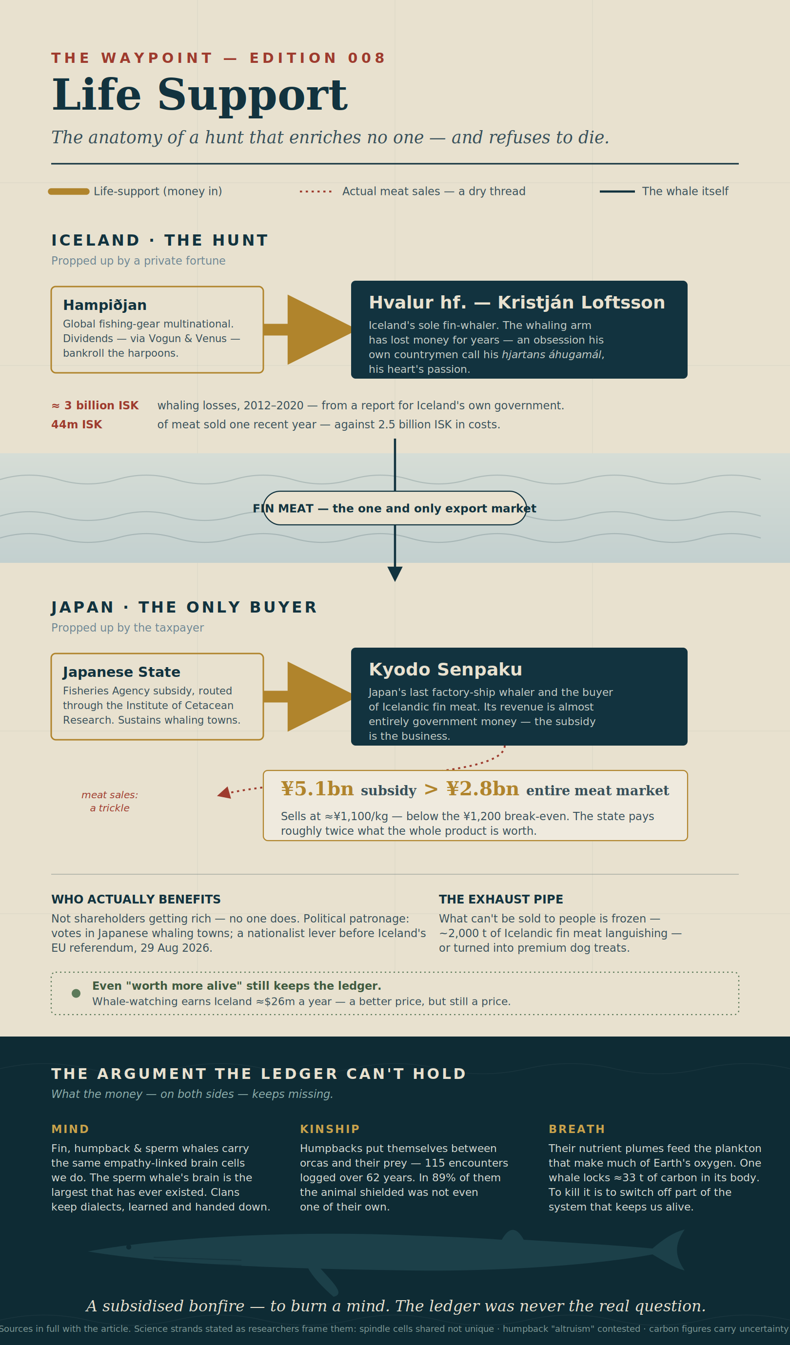 Editorial system map titled "Life Support." The upper half diagrams the fin-whale money trail: Hampiðjan dividends funding Iceland's loss-making Hvalur hf., fin meat crossing to Japan's Kyodo Senpaku, and a government subsidy of ¥5.1bn exceeding the ¥2.8bn total meat market. The lower half, a deep-ocean band titled "The argument the ledger can't hold," presents three themes — Mind, Kinship, Breath — above a fin-whale silhouette.