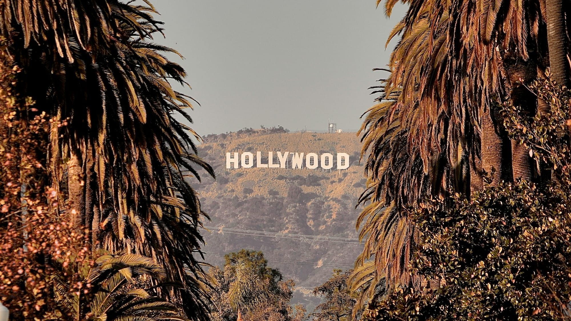 Bryan Cranston vs. The Machines. OpenAI’s Deepfake Dilemma Goes Hollywood