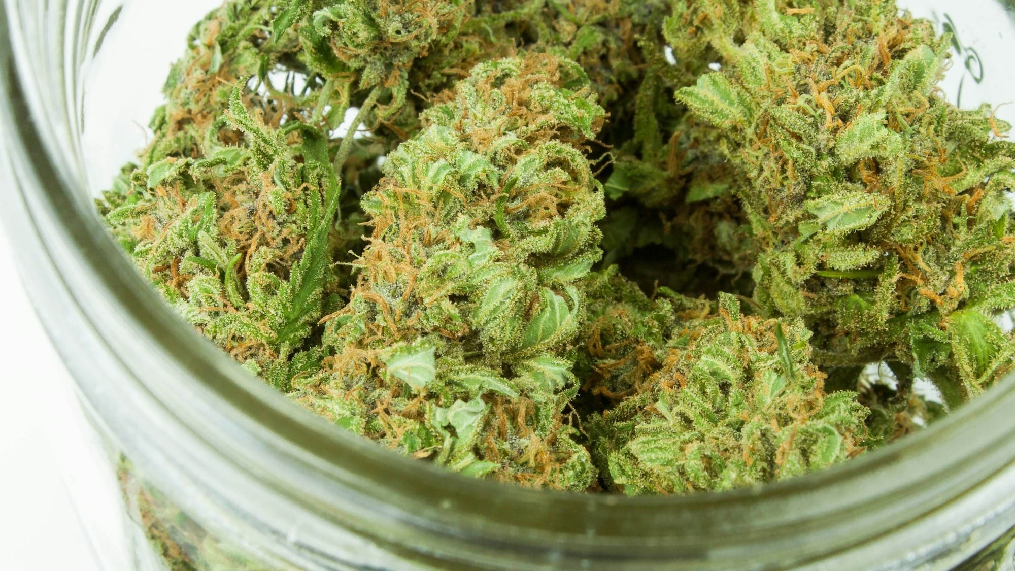 Canopy Growth to acquire MTL Cannabis in $125m deal