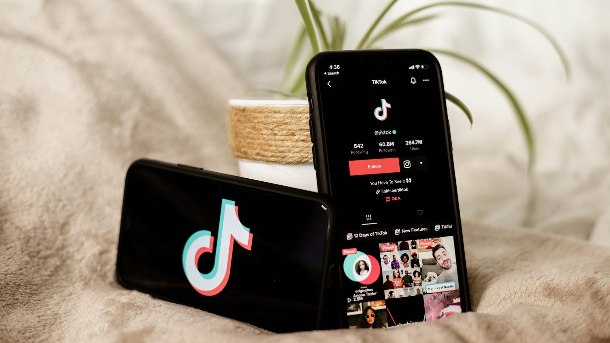 Two smartphones displaying the TikTok app are placed on a soft surface alongside a small potted plant. The phones show the app interface, highlighting user engagement and video content.