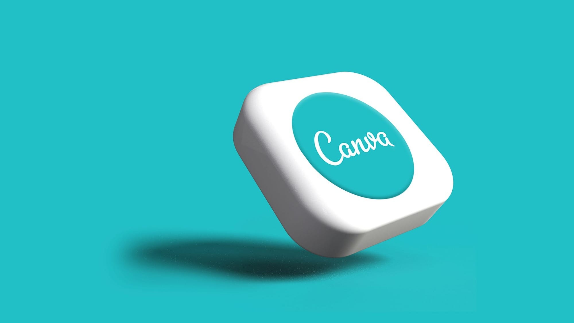 Canva's co-funded solar farms start generating power