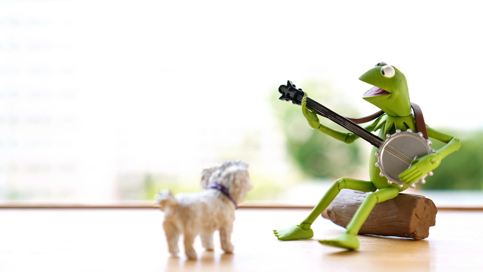 The Muppet Show returns as special event