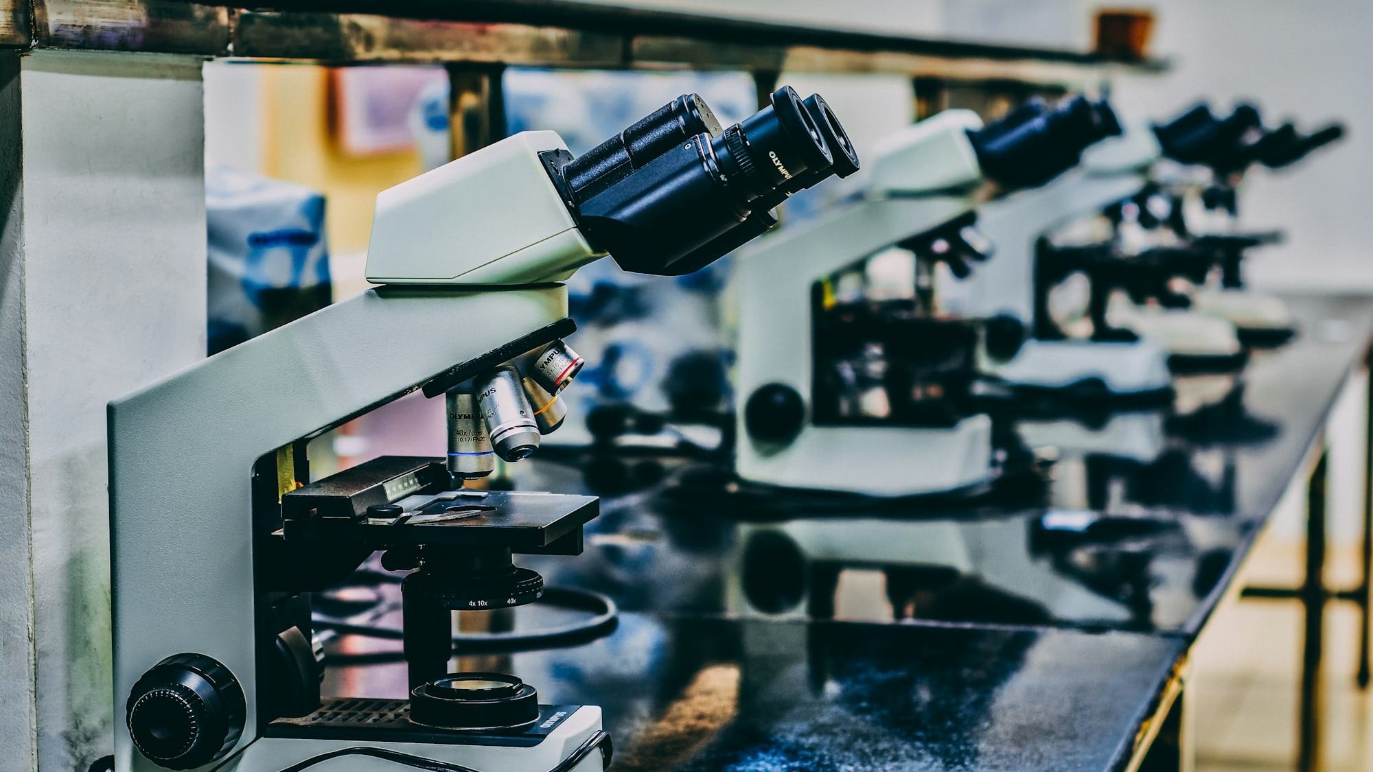 Google.org awards $20m to AI-led science projects tackling health, energy and biodiversity