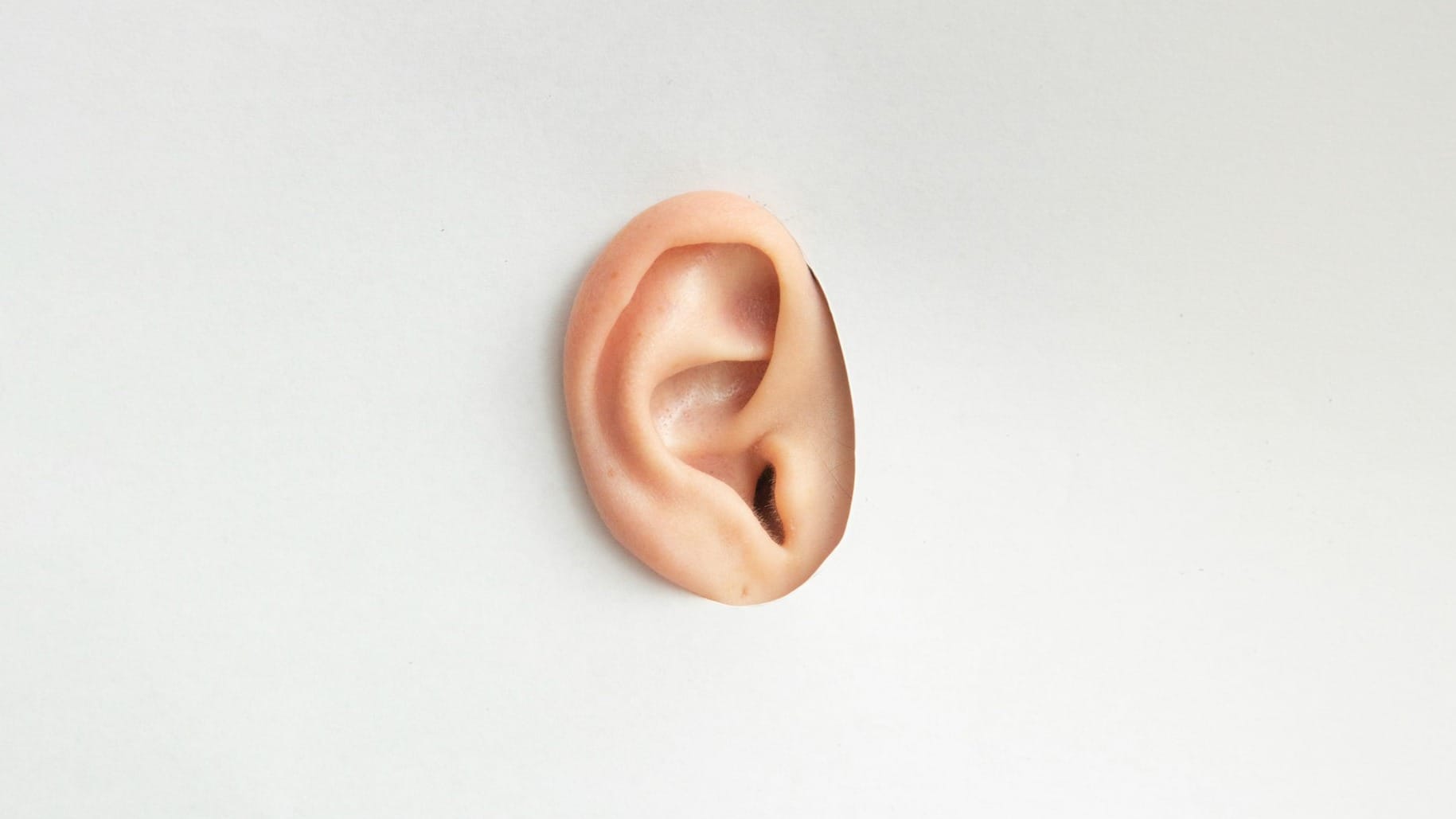 Listen Labs raises $69 million Series B to fund AI-led customer research