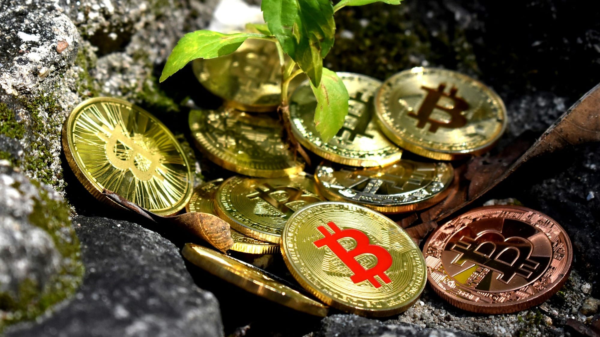 High Roller signs LOI with Crypto.com affiliate for US prediction markets