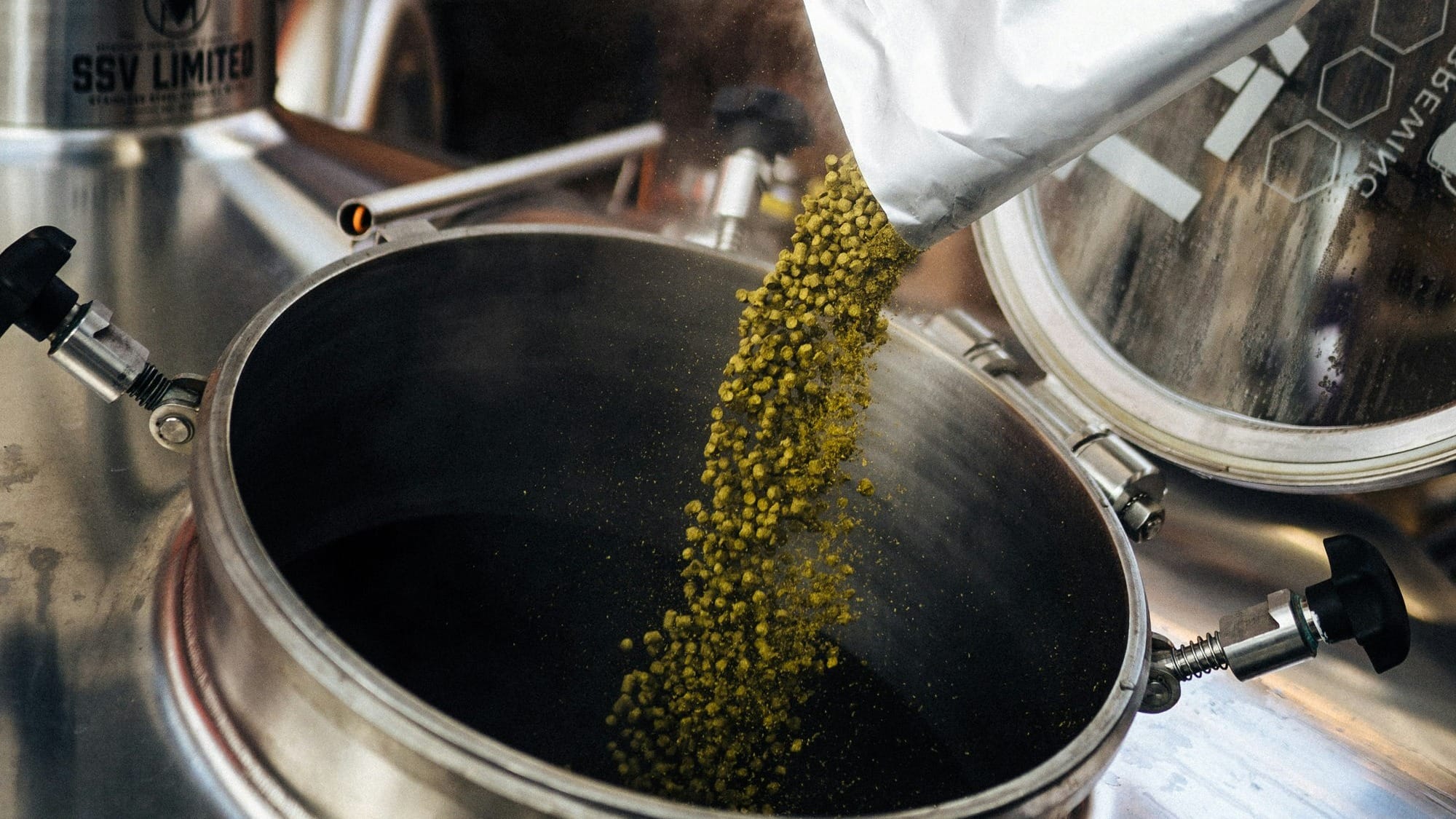 Go Brewing secures investment from Rich Roll Enterprises and Listen Ventures