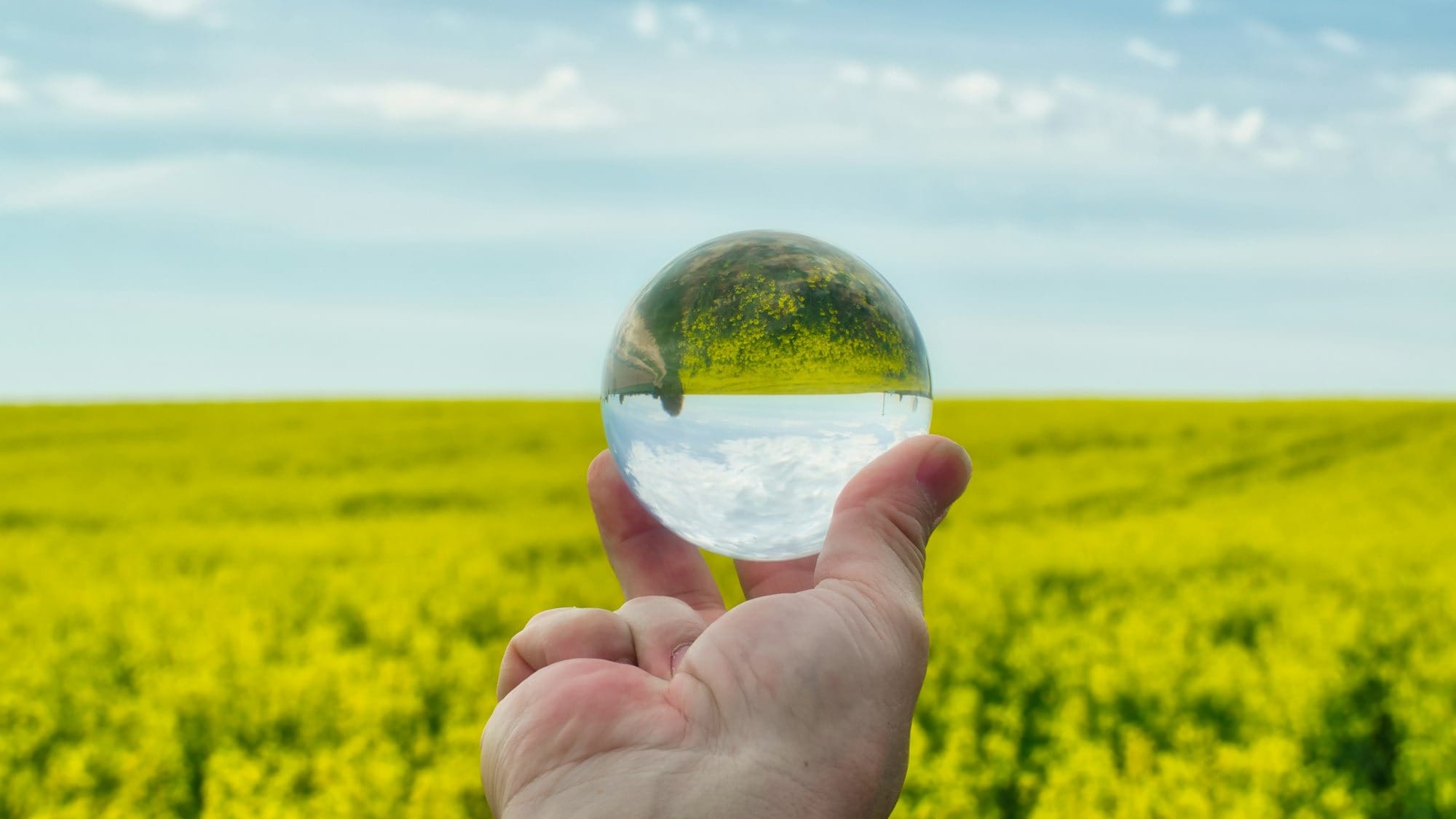 ICE environmental markets surpass $1 trillion in notional value for fifth year running