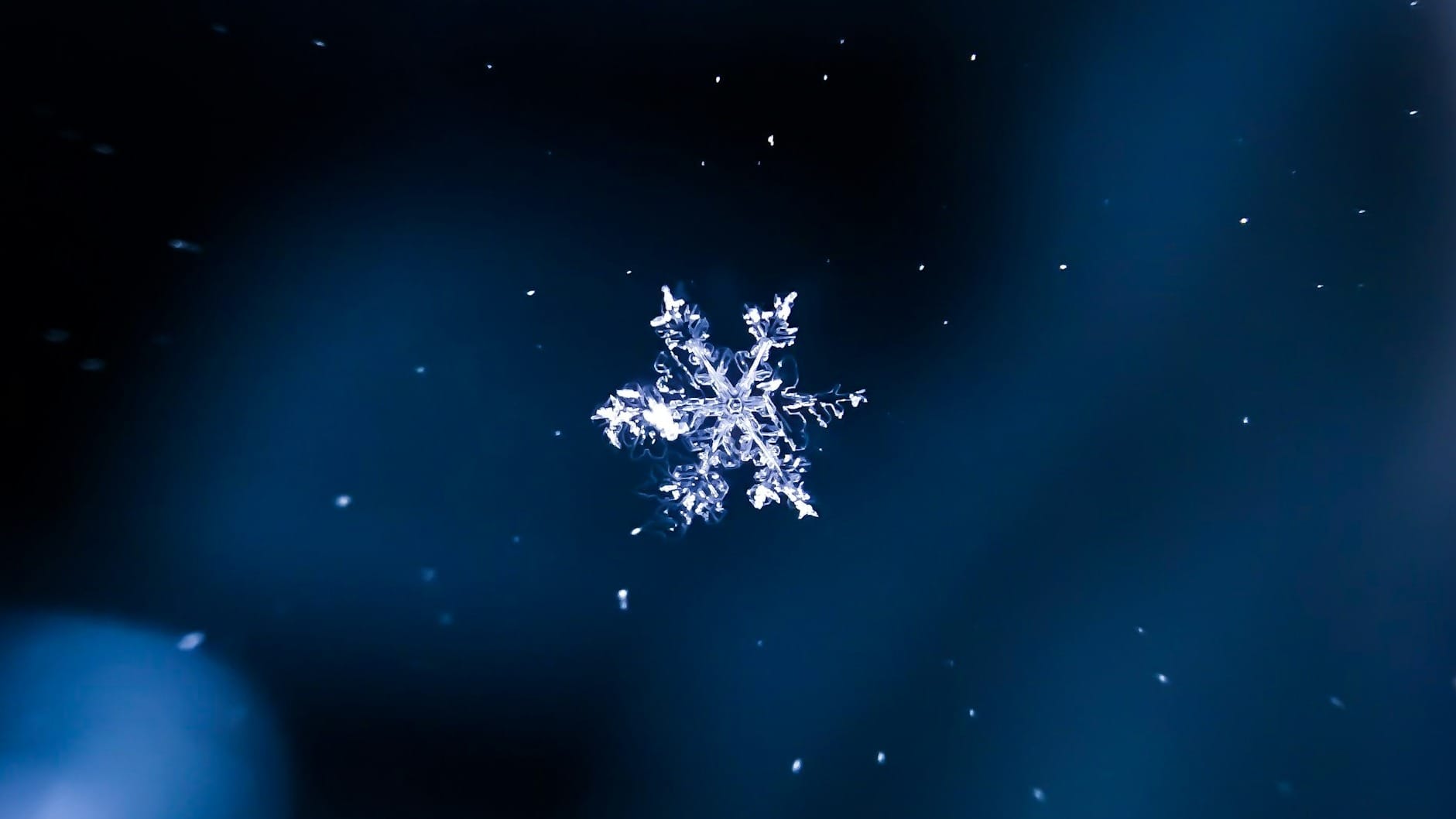 Snowflake signs $200m deal with OpenAI to offer frontier models inside data platform