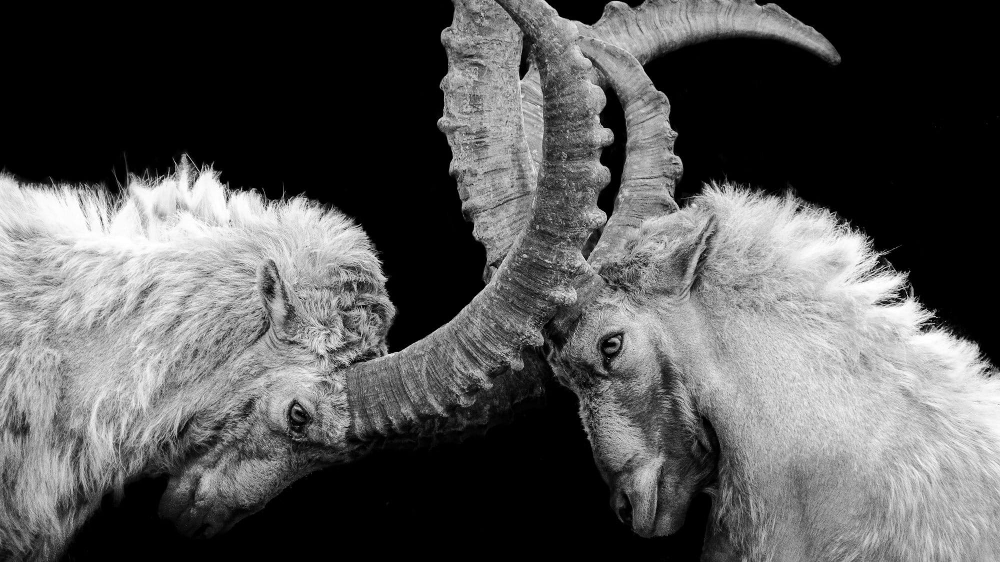 Anthropic vs the Pentagon. Here's what really happened