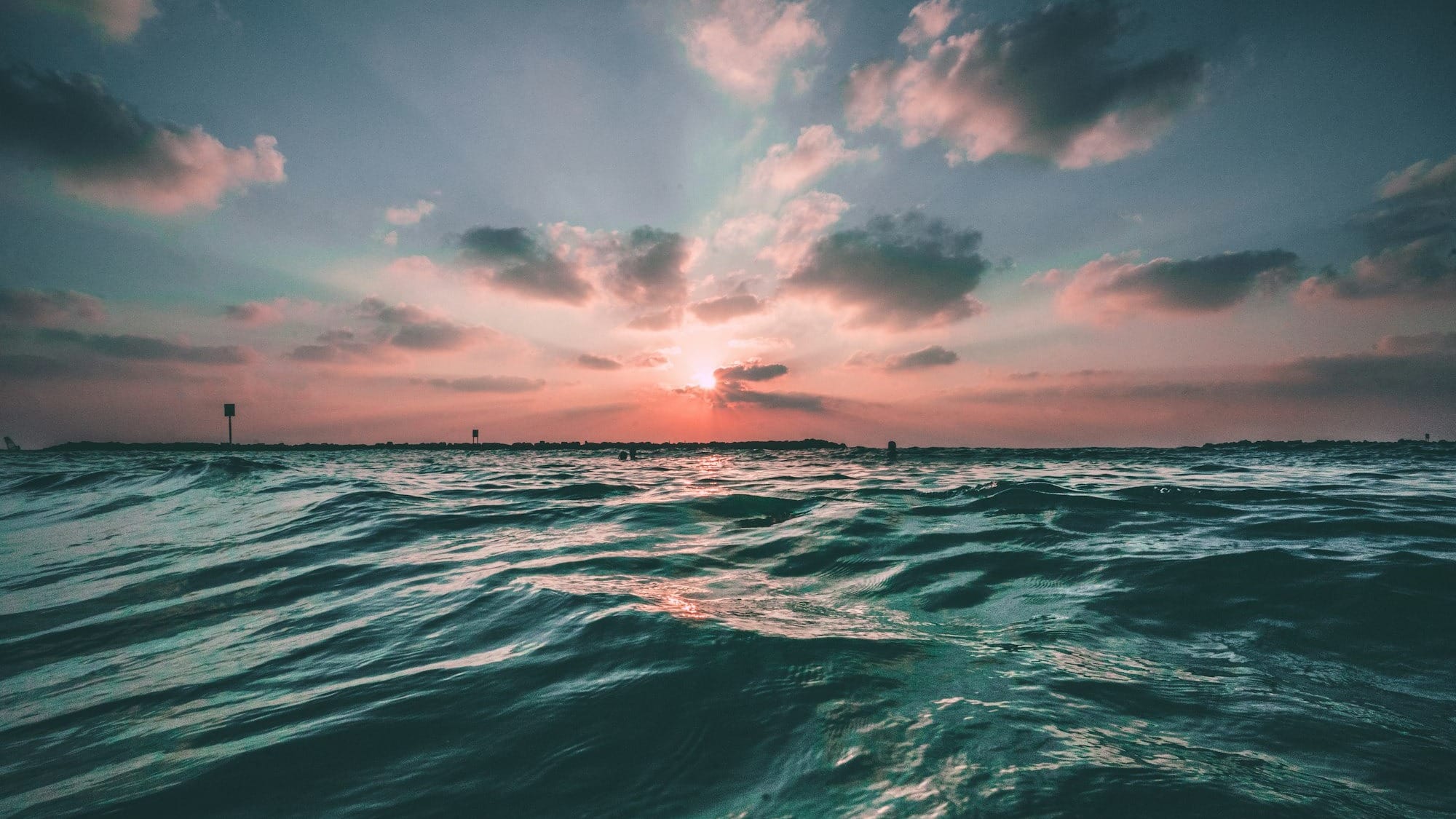 OpenSea delays SEA token launch citing difficult cryptocurrency market conditions