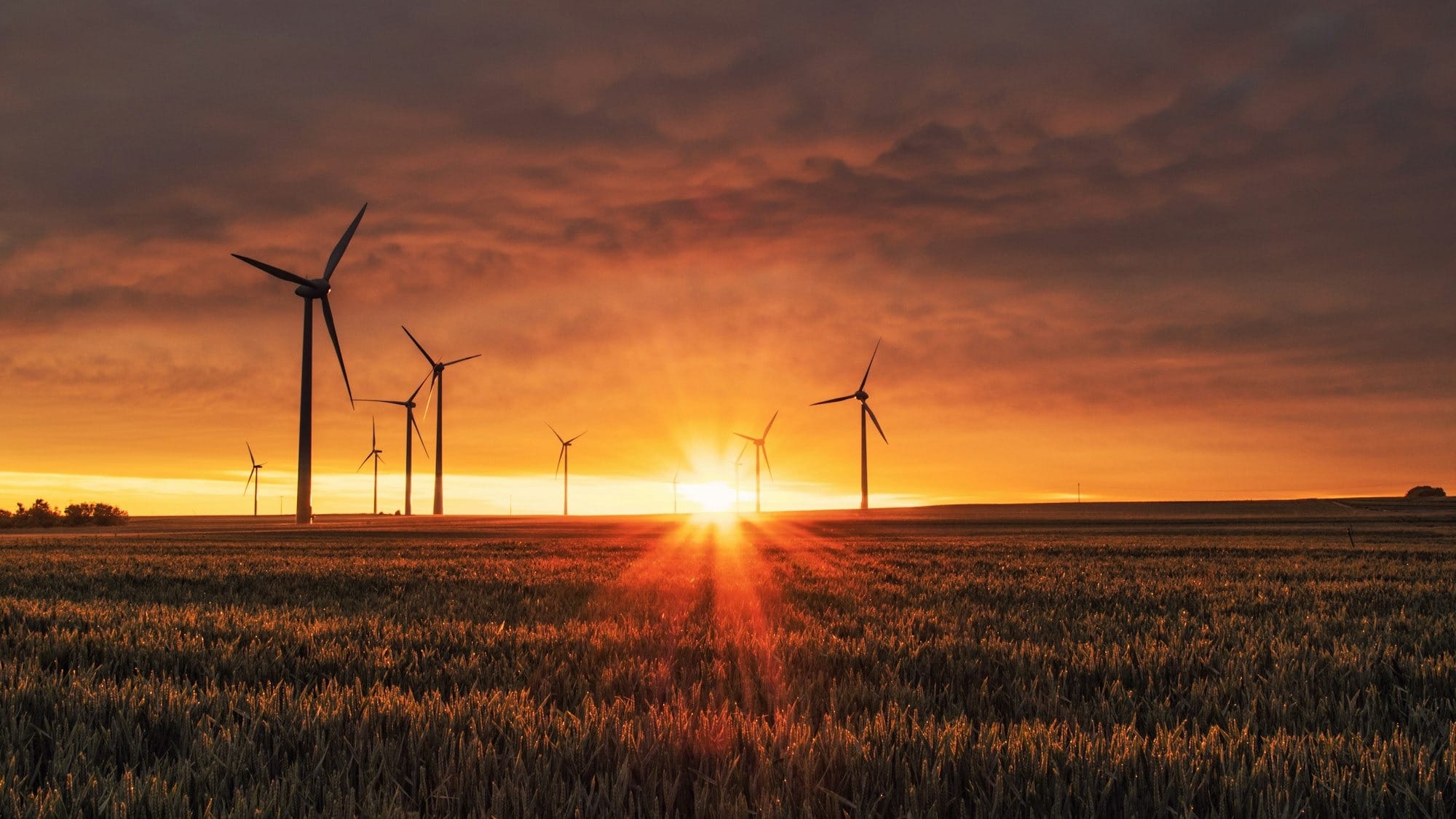 Google DeepMind launches climate-focused AI accelerator for Asia Pacific startups