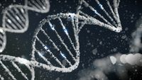 Google unveils Gemini for Science post image