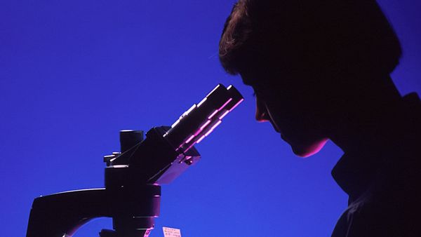 Google targets research sector with Gemini for Science post image