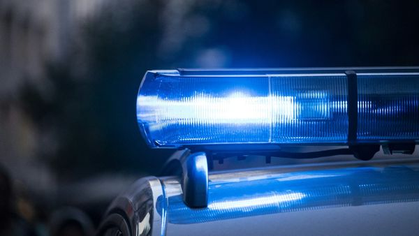 Police arrest suspect after incendiary device thrown at OpenAI chief Sam Altman's home post image