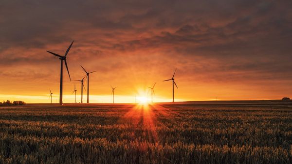 Google DeepMind launches climate-focused AI accelerator for Asia Pacific startups post image