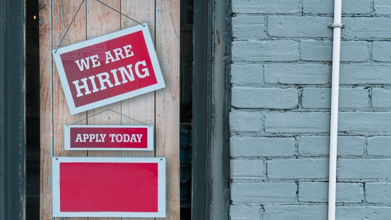 AI startup Pelgo pitches itself as the answer to AI-driven job losses post image