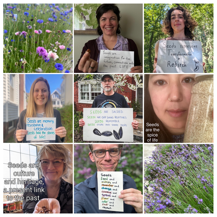 Maya-Mennonite Solidarity Trip to Maya Seed Festival in Yucatán, Mexico