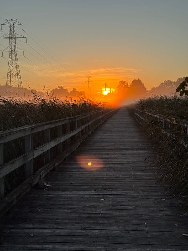 A wooden bridge across wetlands in far northern Illinois as the sun rises in the distance. 