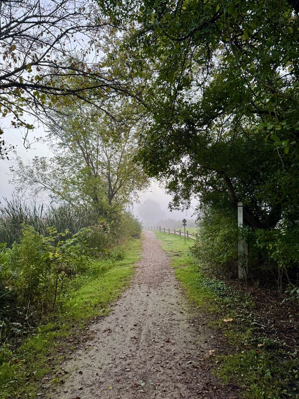 A crushed limestone path through local wetlands with fog in the distance.