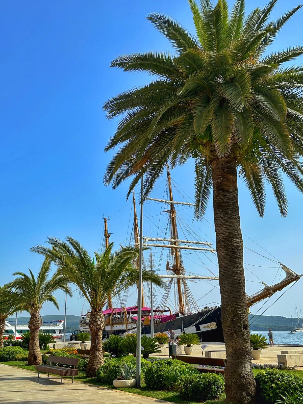 Tivatskih sedam dana Istaknuta slika objave