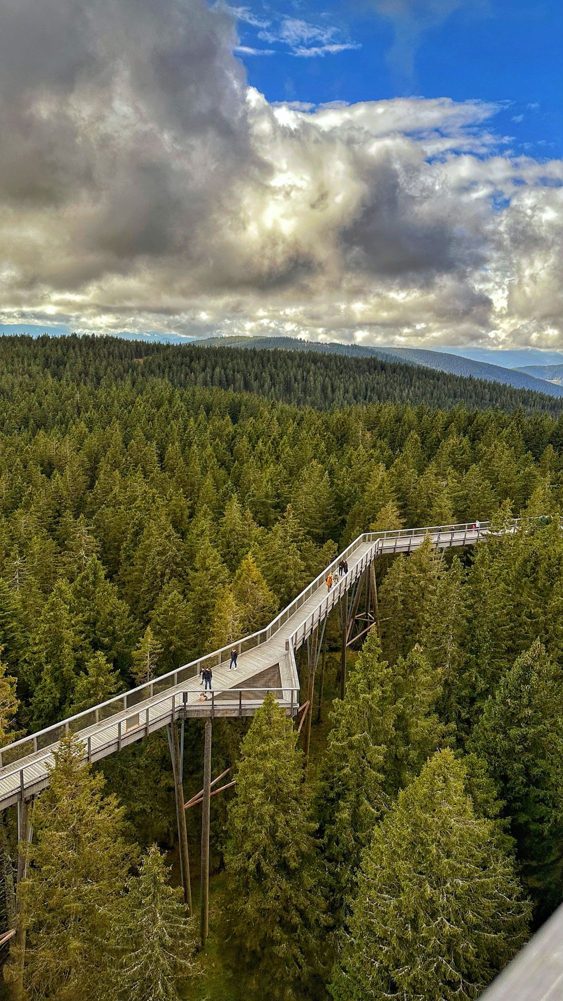 Šetnja iz ptičje perspektive Istaknuta slika objave