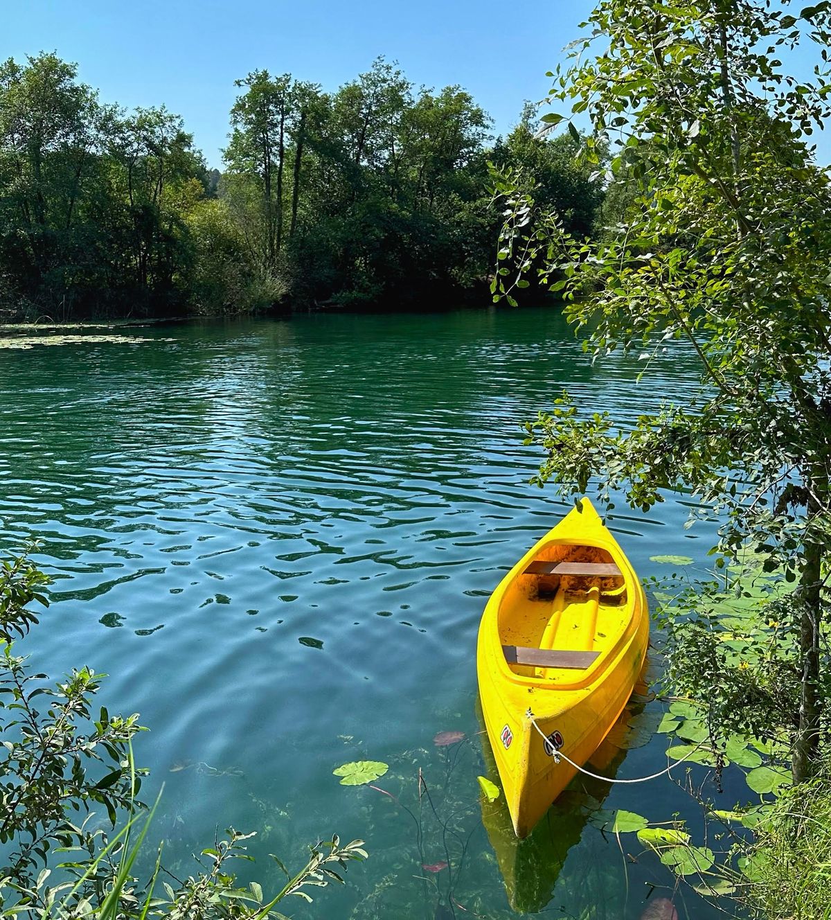 „Bablje ljeto” na Mrežnici Istaknuta slika objave