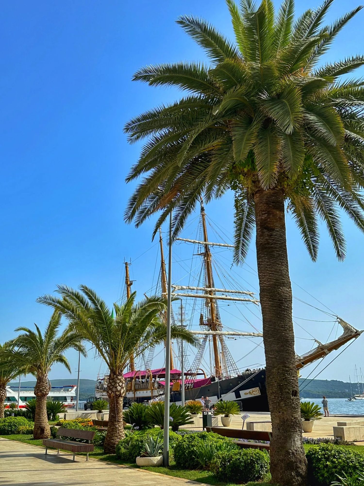 Tivatskih sedam dana Slika objave