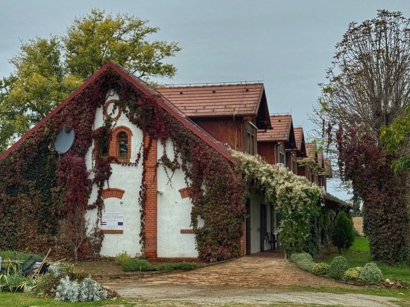 Otkrijte Slavoniju: Plemićka ruta, Kuća čaja, dvorac u kojem možete besplatno spavati i još mnogo toga Slika objave