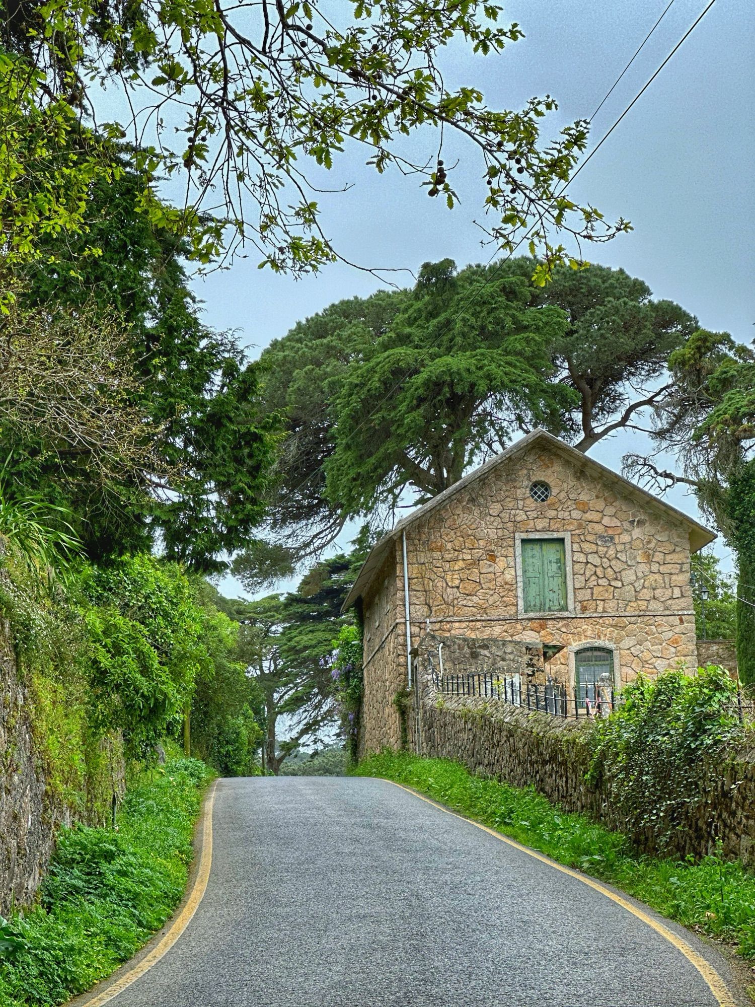 Proljetni Portugal - prirodna oaza nedaleko Lisabona Slika objave