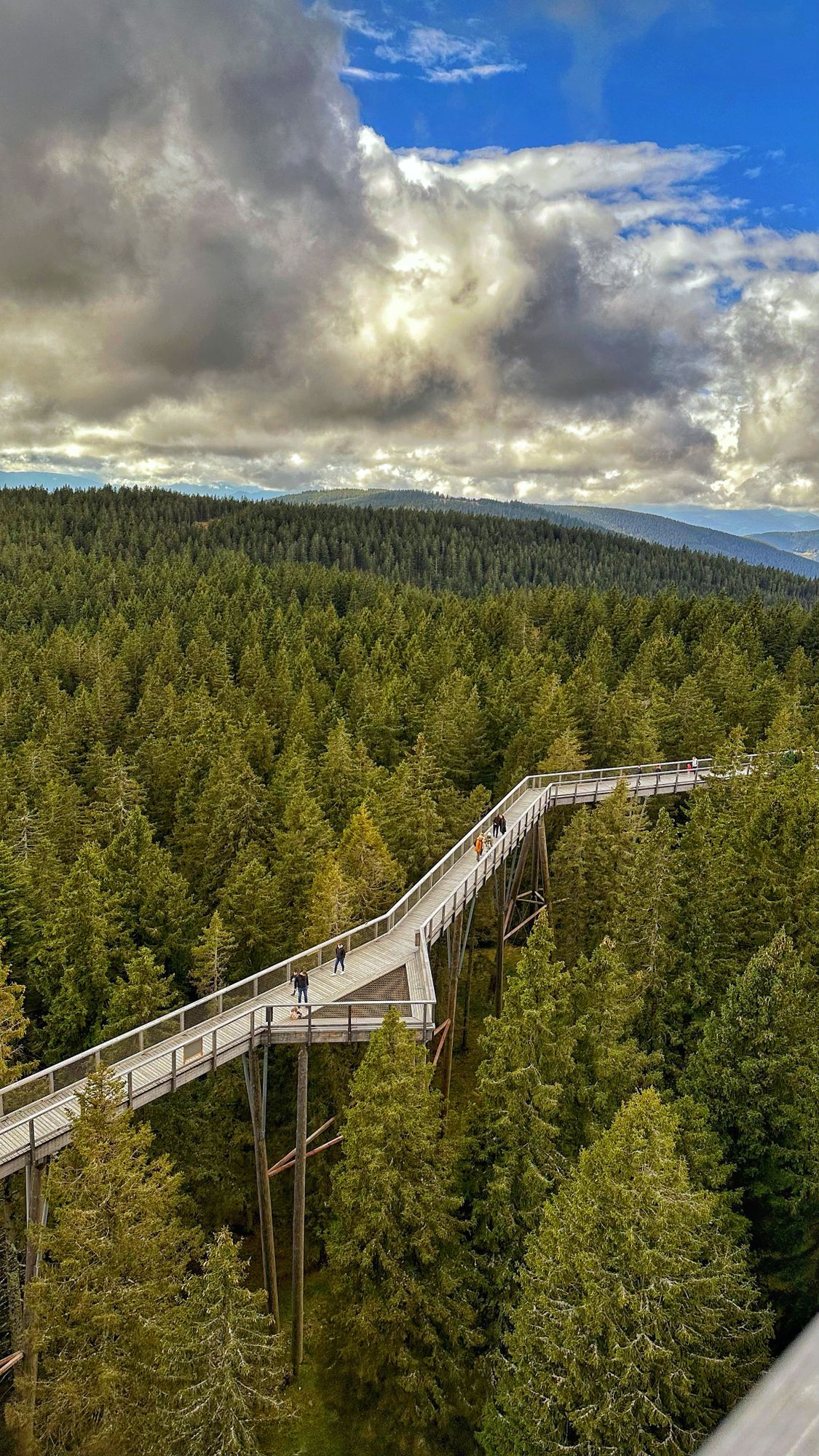 Šetnja iz ptičje perspektive Slika objave
