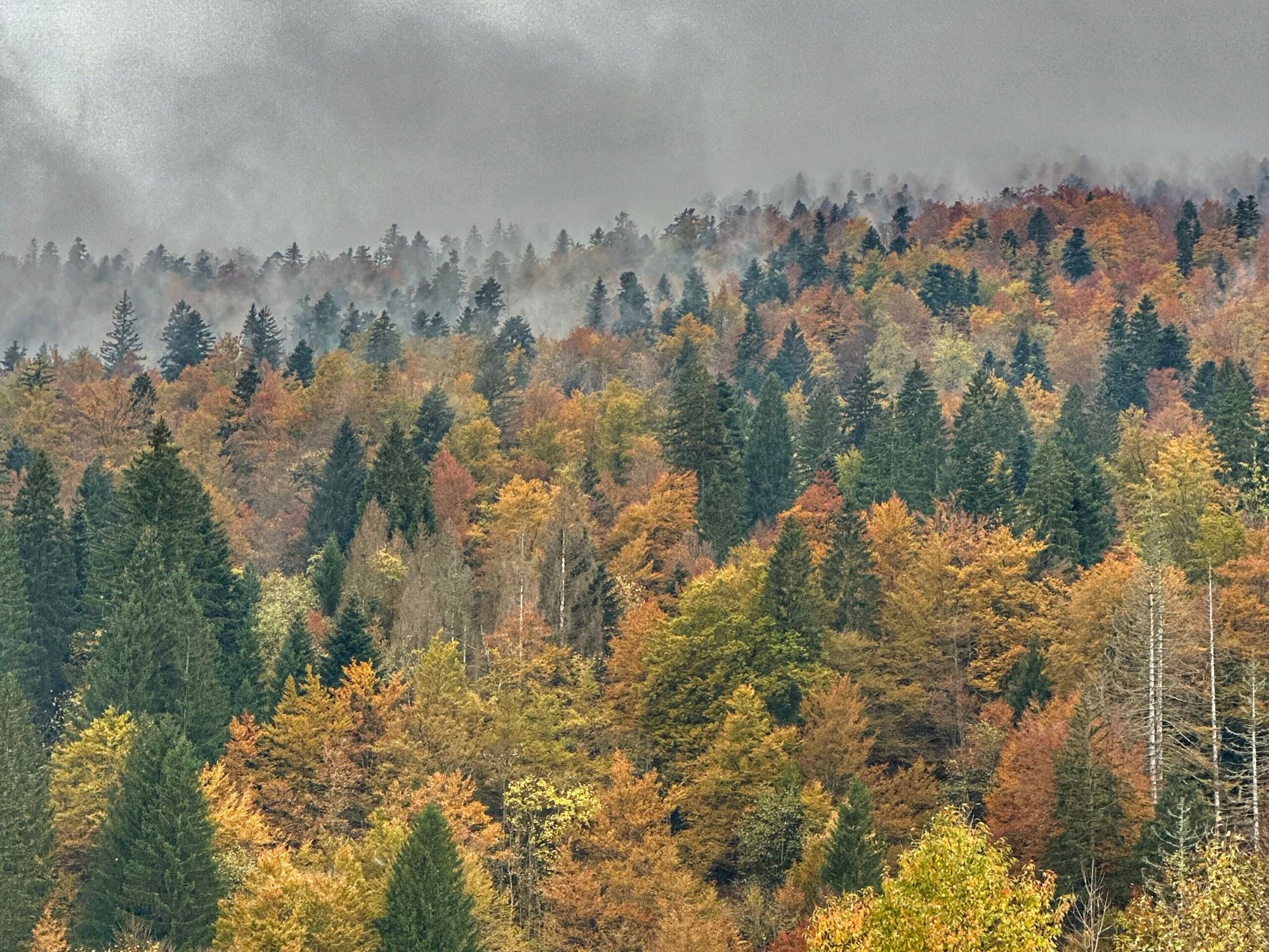 Jesenski vikend u kući iz bajke podno Bjelolasice Slika objave