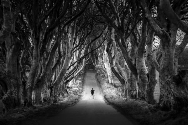 Dracula's Guest