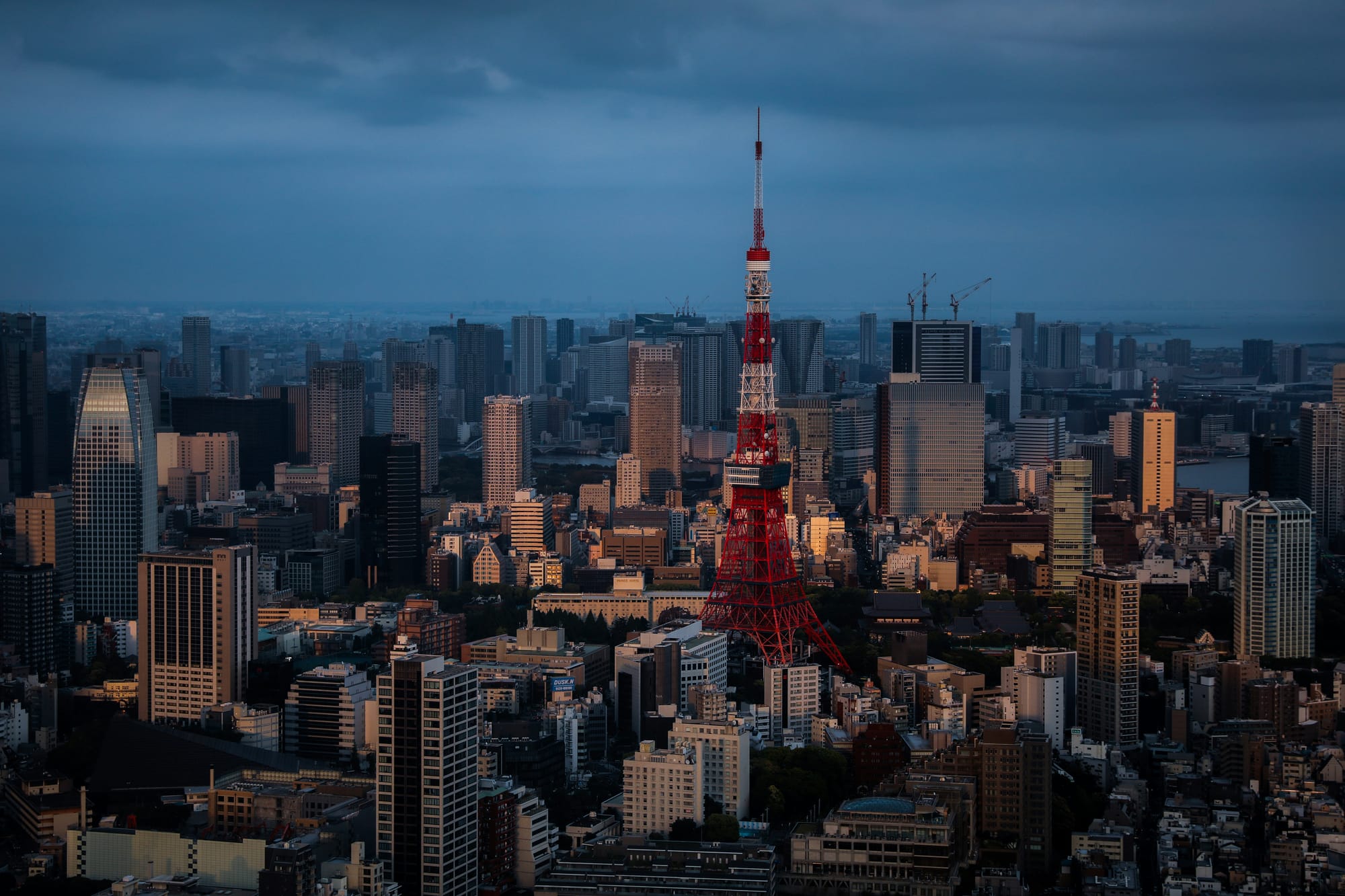 A dense Tokyo city skyline featuring the Tokyo Tower, highlighting the stark contrast between buildings catching the golden sunlight and those cast in deep urban shadow.