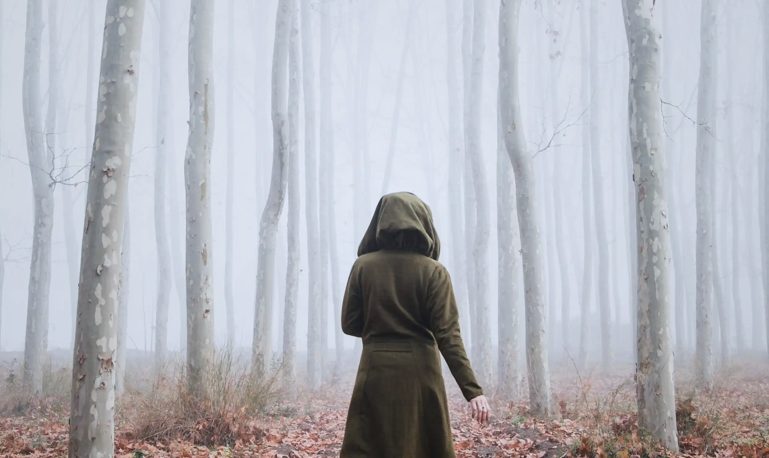 A hooded figure standing alone in a dense, foggy forest, symbolizing the isolation of the marginalized female healers of Benevento.