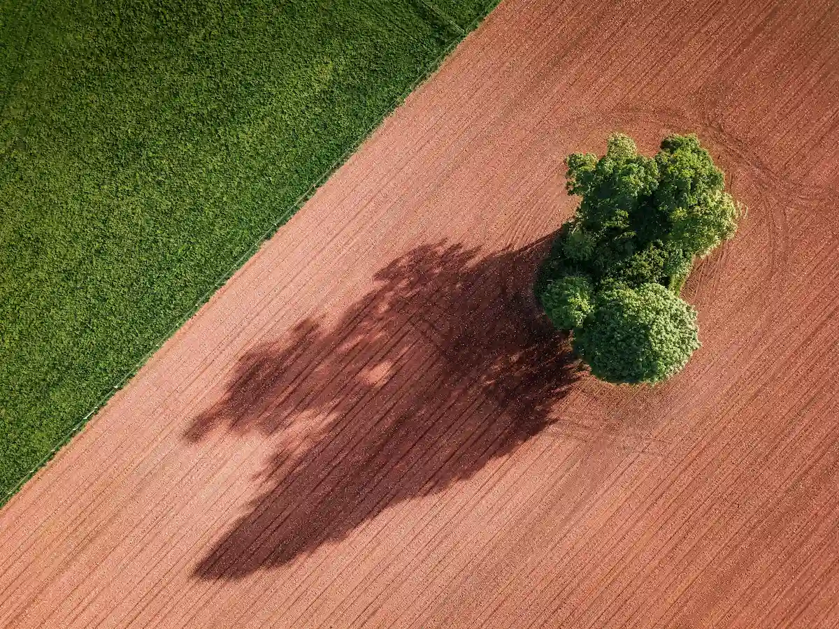 Aerial view of a strictly partitioned agricultural field with plowed red earth and an isolated tree cluster, representing maximum capacity utilization.