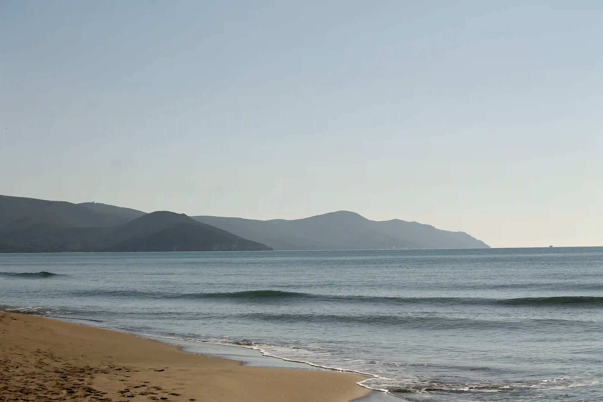 A wide, empty coastline with gentle waves and hazy mountains in the background, illustrating the vast yet fragile nature of beach ecosystems.