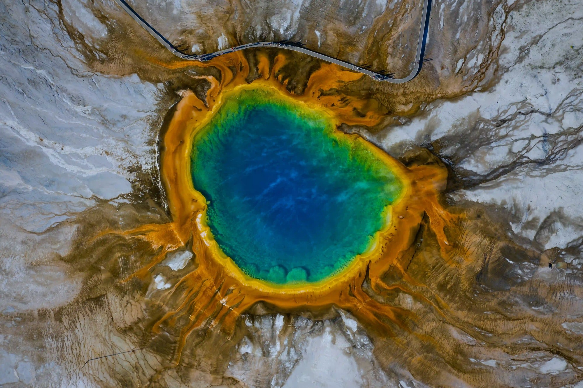 An aerial view of the Grand Prismatic Spring, showcasing the vivid rainbow colors produced by extremophile bacteria in boiling waters.