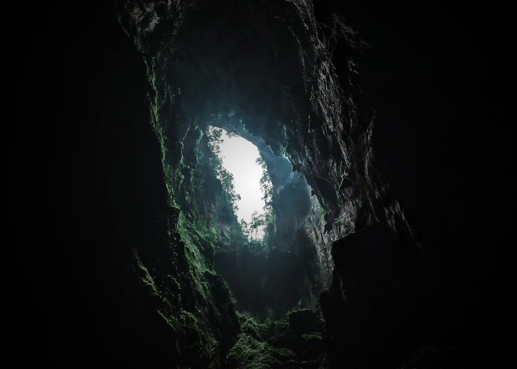 Sunlight pours through a massive collapsed cave ceiling, illuminating an isolated underground rainforest deep within Hang Son Doong.