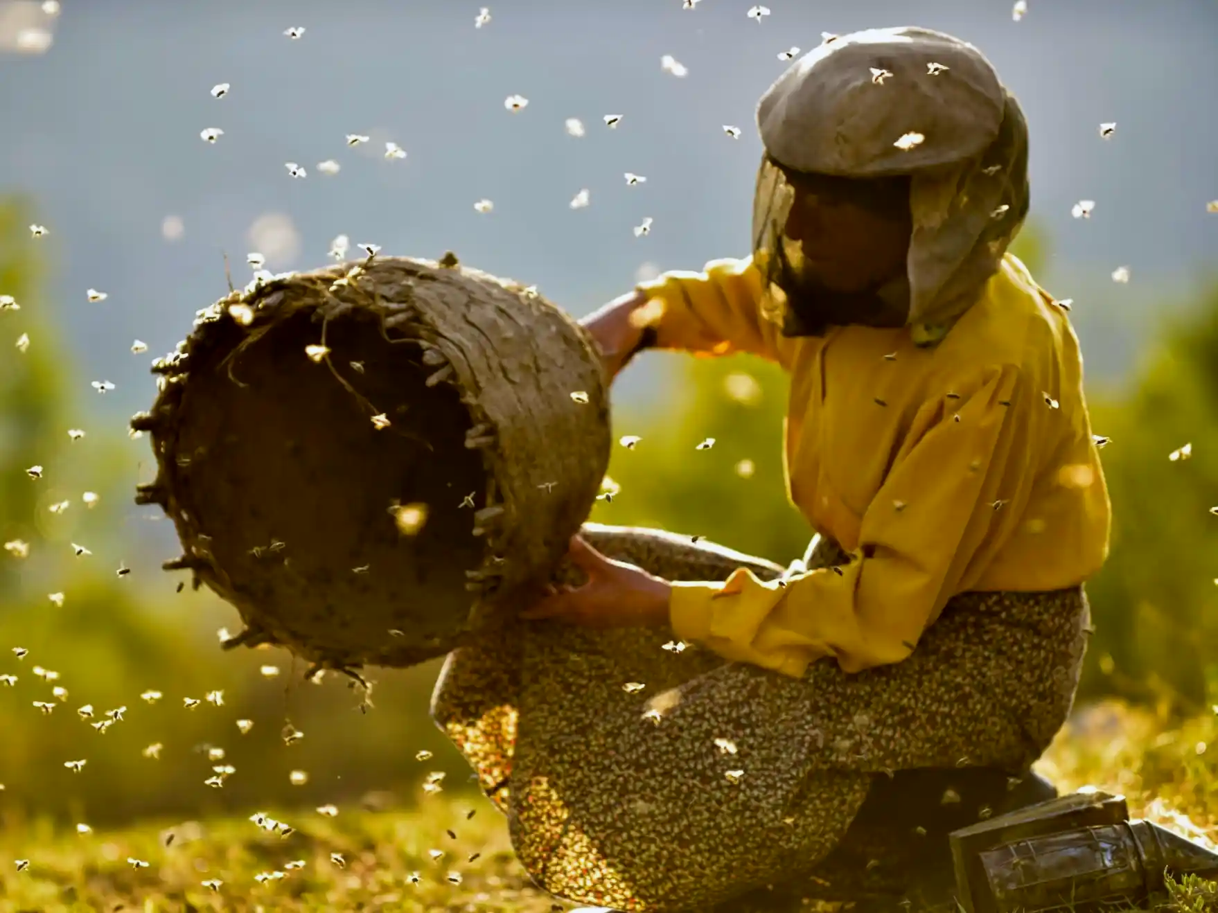 A cinematic scene from the documentary Honeyland, showing Europe's last female wild beekeeper tending to a traditional woven beehive surrounded by a swarm of bees in golden sunlight, representing primal sustainability.