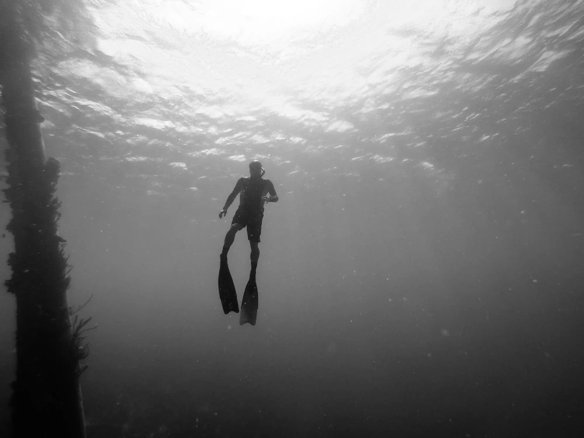 A striking black and white underwater silhouette of a solitary freediver suspended in the vast, silent ocean, looking towards the surface.
