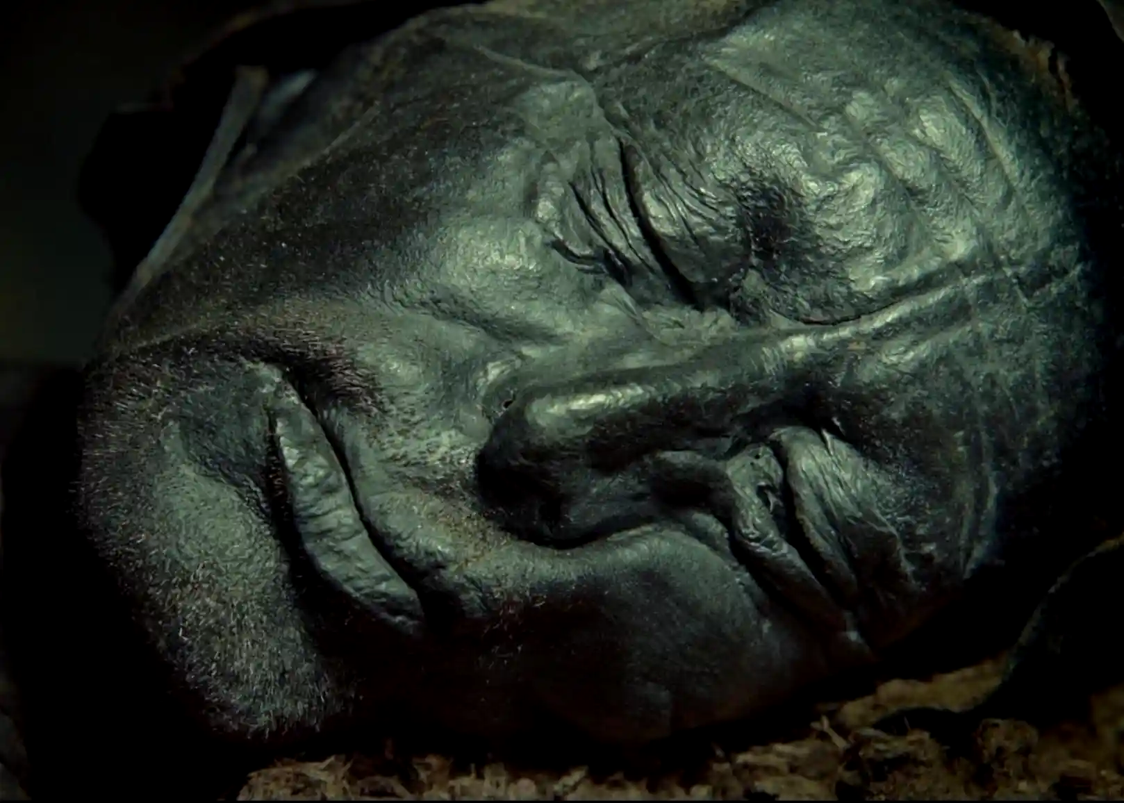 A close-up cinematic still from the documentary 'Samsara,' focusing on the deeply wrinkled, dark, and mummified face of the ancient bog body known as the Tollund Man.